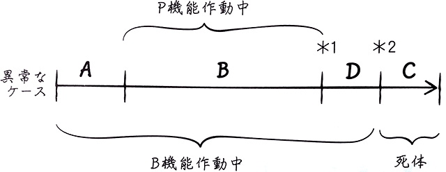 図：人間の誕生から死まで