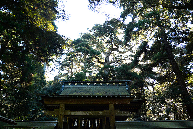 鹿島神宮・奥宮