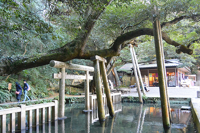 鹿島神宮・御手洗池