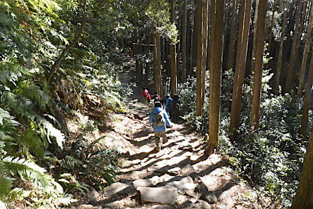 熊野古道の伊勢路